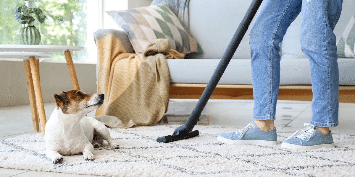 Why Investing In Professional Carpet Cleaning Saves Money In The Long Run