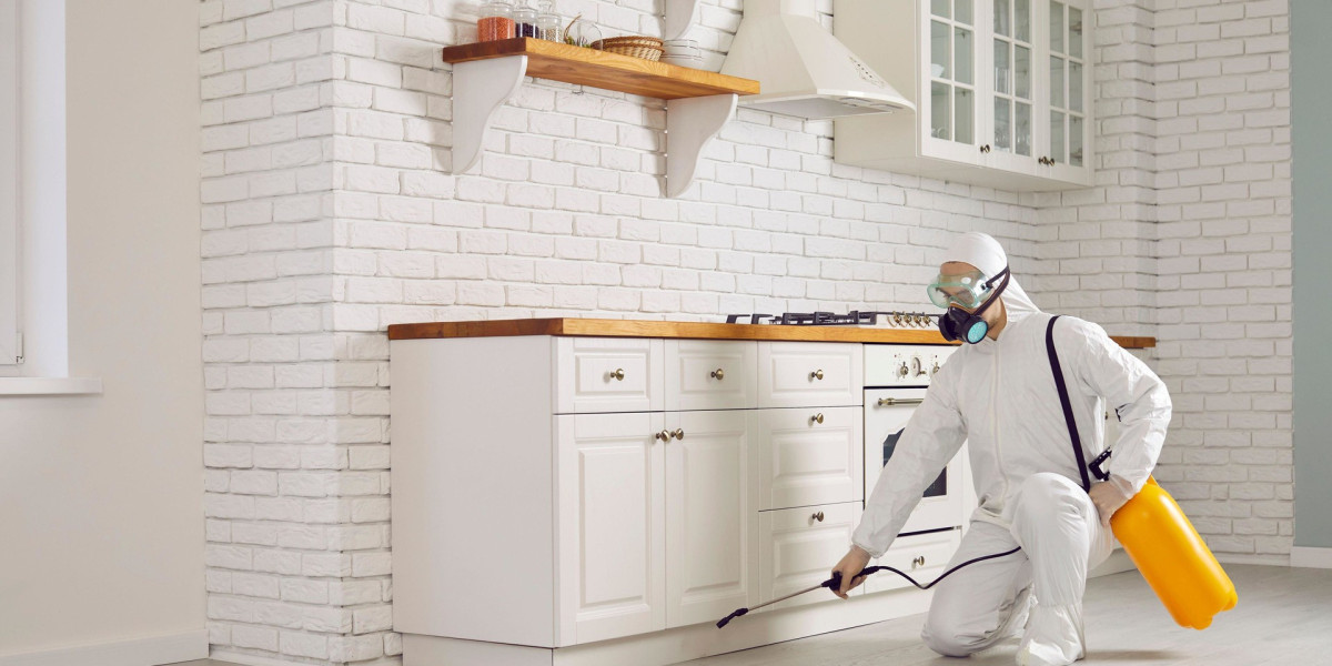 Understanding Effective Insect Management for Homes