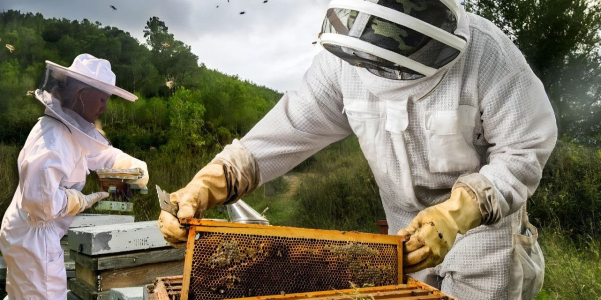 Understanding Safe and Effective Bee Management
