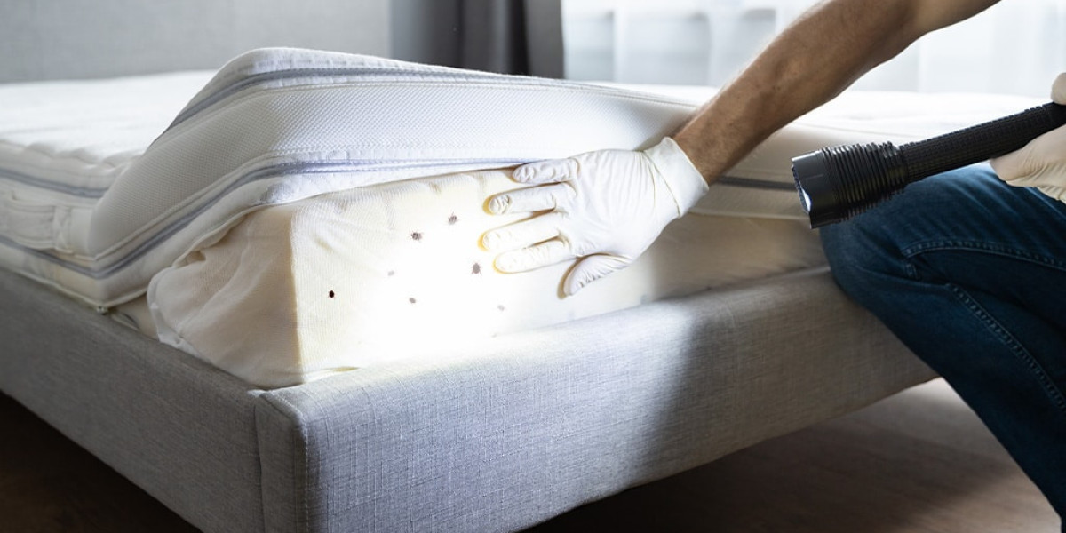 Managing Bed Bug Problems and Protecting Your Home